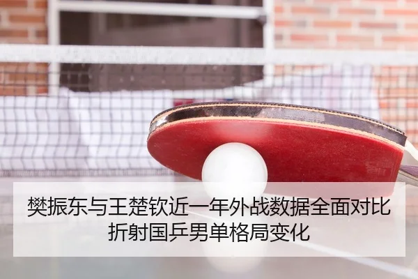 樊振东与王楚钦近一年外战数据全面对比折射国乒男单格局变化